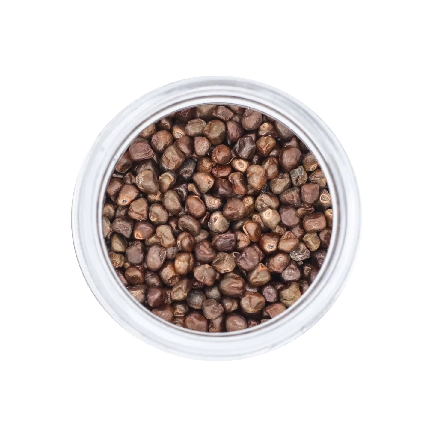 korerima-especias-productosetiopes-caradamom-ethiopian-etiope-spice-sholamarket