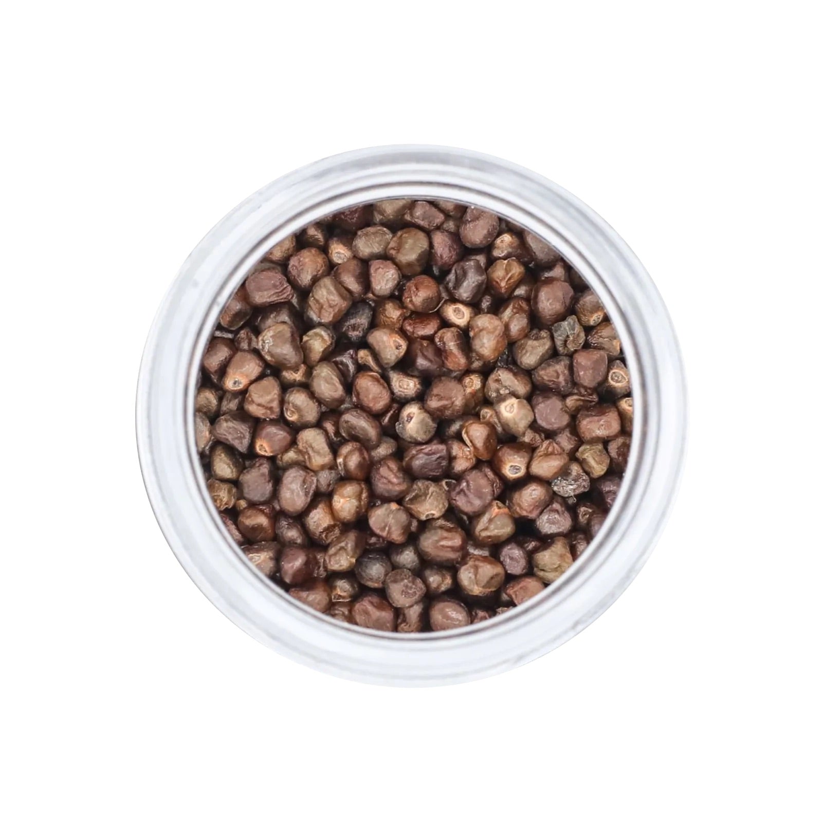 korerima-especias-productosetiopes-caradamom-ethiopian-etiope-spice-sholamarket